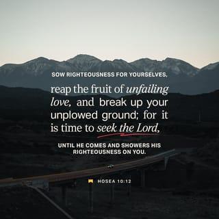 Hosea 10:12 - Your hearts are as hard as a field
that has not been plowed.
If you change your ways,
you will produce good crops.
So plant the seeds of doing what is right.
Then you will harvest the fruit of your faithful love.
It is time to seek the LORD.
When you do, he will come
and shower his blessings on you.