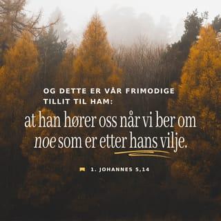 1 Johannes 5:14 NB