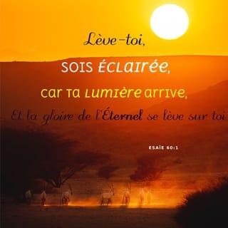 Ésaïe 60:1-22 - Debout, Jérusalem !
Brille avec éclat : en effet, ta lumière arrive,
la gloire du SEIGNEUR se lève sur toi !
Regarde : la nuit couvre la terre,
un brouillard enveloppe les peuples.
Mais sur toi, le SEIGNEUR se lève
et sa gloire brille sur toi.
Les autres peuples marchent vers ta lumière,
et les rois se dirigent vers la clarté
qui s’est levée sur toi.
Lève les yeux et regarde autour de toi !
Tous se rassemblent et viennent vers toi.
Tes fils arrivent de loin,
tes filles sont portées dans les bras.
En voyant cela, tu brilleras de joie,
ton cœur battra de bonheur.
En effet, les richesses de la mer
arriveront chez toi,
les trésors des autres peuples
parviendront jusqu’à toi, Jérusalem.
Des troupeaux de chameaux te couvriront,
de jeunes chameaux de Madian et d’Éfa.
Ils viendront tous de Saba.
Ils apporteront de l’or et de l’encens
et ils chanteront devant tous
la louange du SEIGNEUR.
Le SEIGNEUR dit :
« Les troupeaux de Quédar
se rassembleront chez toi.
Tu pourras utiliser les béliers de Nebayoth pour tes cérémonies.
On les présentera sur mon autel,
et ce sacrifice me plaira.
J’honorerai ainsi la beauté de mon temple.
« Qui sont-ils, tous ces gens qui volent comme un nuage,
qui ressemblent à des colombes rentrant dans leurs nids ?
Les pays éloignés m’attendent avec espoir.
Les grands bateaux avancent en tête
pour ramener tes enfants de très loin,
avec leur argent et leur or.
Ils viennent me rendre gloire,
à moi, ton Dieu, le Dieu saint d’Israël
qui te fais cet honneur. »
Le SEIGNEUR dit à Jérusalem :
« Des étrangers reconstruiront tes murs,
leurs rois seront à ton service.
Dans ma colère, je t’avais frappée,
mais dans ma bonté, je te montre mon amour.
Tes portes seront toujours ouvertes.
On ne les fermera ni le jour ni la nuit.
Alors on fera entrer chez toi
les richesses des autres peuples,
ainsi que leurs rois, l’un après l’autre.
« Le peuple ou le royaume qui refusera de te servir disparaîtra. Ces peuples-là seront complètement détruits.
« Les beaux arbres qui font la fierté du Liban,
les différents bois de construction arriveront chez toi, Jérusalem.
Ils feront la beauté de mon lieu saint.
Ainsi, je rendrai glorieux
l’endroit où je suis présent.
Ceux qui t’ont fait souffrir durement
s’approcheront de toi en baissant la tête,
tous ceux qui t’ont méprisée
se mettront à genoux à tes pieds.
Ils t’appelleront “la Ville du SEIGNEUR”,
“la Sion du Dieu saint d’Israël”.
« Tu étais abandonnée, on te détestait,
et personne ne passait chez toi.
Maintenant, je te rendrai magnifique
pour qu’on se réjouisse à cause de toi
de génération en génération.
Tu te nourriras du lait des autres peuples,
tu mangeras les richesses de leurs rois.
Alors tu reconnaîtras ceci :
ton Sauveur, c’est moi, le SEIGNEUR.
Ton libérateur, c’est le Dieu puissant de Jacob.
À la place du bronze, je ferai venir de l’or,
à la place du fer, je ferai venir de l’argent.
À la place du bois, je ferai venir du bronze,
à la place des pierres, je ferai venir du fer.
Grâce à moi, c’est la paix qui vous dirigera,
c’est la justice qui vous gouvernera.
On n’entendra plus parler de violence
dans ton pays,
ni de destruction et de ruines
à l’intérieur de tes frontières.
Le nom de tes murs de défense sera “Salut”.
Le nom de tes portes sera “Louange”.
« Pour être éclairée,
tu n’auras plus besoin du soleil pendant le jour,
ni de la lune pendant la nuit.
Moi, le SEIGNEUR ton Dieu,
je serai pour toi une lumière sans fin
et je t’éclairerai de toute ma clarté.
Ton soleil ne se couchera plus,
ta lune ne disparaîtra plus.
Oui, moi, le SEIGNEUR, je serai pour toi
une lumière sans fin.
La période de ton deuil sera terminée.
« Tous tes habitants m’obéiront,
ils posséderont ce pays pour toujours.
Je les ai créés avec mes mains
pour qu’ils montrent ma gloire.
Ils sont comme des plantes
que j’ai mises en terre moi-même.
Parmi eux, le plus petit donnera naissance à mille personnes,
le plus faible deviendra un peuple puissant.
Moi, le SEIGNEUR, je ferai cela très vite,
quand ce sera le moment. »