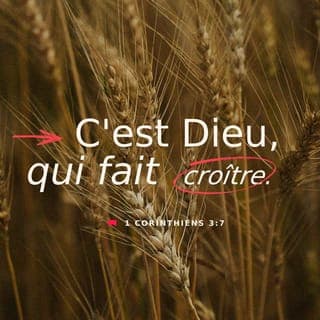 1 Corinthiens 3:6-8 - Moi, j’ai planté, Apollos a arrosé, mais c’est Dieu qui a fait pousser. Celui qui plante n’est rien, celui qui arrose n’est rien. Mais celui qui fait pousser est tout, et c’est Dieu. Entre celui qui plante et celui qui arrose, il n’y a pas de différence. Mais Dieu donne à chacun sa récompense, selon son travail.