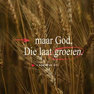 1 Korinthiërs 3:7-8 - De planter en de verzorger zijn niet belangrijk, maar God wel. Hij geeft de groei. De planter en de verzorger kunnen niet zonder elkaar. Zij krijgen allebei de beloning die hun toekomt, afhankelijk van het werk dat zij deden.