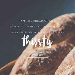 John 6:35 - Jesus replied, “I am the bread of life. Whoever comes to me will never be hungry again. Whoever believes in me will never be thirsty.