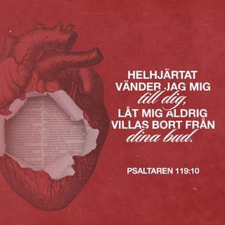 Psaltaren 119:11 - Vad du har sagt bevarar jag i mitt hjärta,
så att jag aldrig syndar mot dig.