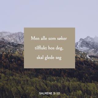 Salmene 5:11 NB