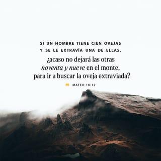 San Mateo 18:12-17 - ¿Qué os parece? Si un hombre tiene cien ovejas, y se descarría una de ellas, ¿no deja las noventa y nueve y va por los montes a buscar la que se había descarriado? Y si acontece que la encuentra, de cierto os digo que se regocija más por aquella, que por las noventa y nueve que no se descarriaron. Así, no es la voluntad de vuestro Padre que está en los cielos, que se pierda uno de estos pequeños.
Por tanto, si tu hermano peca contra ti, ve y repréndele estando tú y él solos; si te oyere, has ganado a tu hermano. Mas si no te oyere, toma aún contigo a uno o dos, para que en boca de dos o tres testigos conste toda palabra. Si no los oyere a ellos, dilo a la iglesia; y si no oyere a la iglesia, tenle por gentil y publicano.