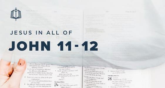 John 11-12