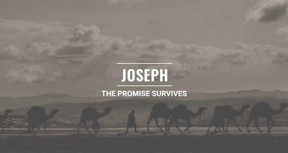 Session 5 - Joseph: The Promise Survives