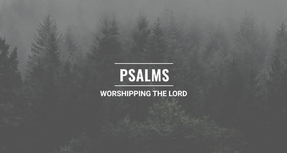 Session 13 - Psalms: Worshipping the Lord 