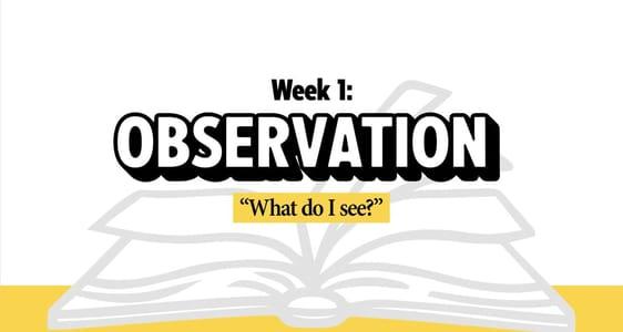 Methods Series || Week 1: Observation