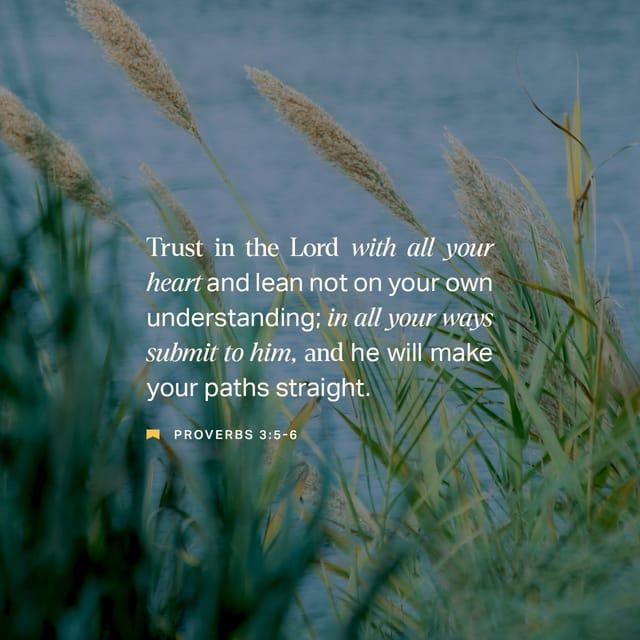 Proverbs 3:5 - Trust in the LORD with all thine heart;
And lean not unto thine own understanding.