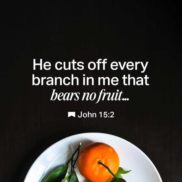 John 15:2 - He cuts off every branch of mine that doesn’t produce fruit, and he prunes the branches that do bear fruit so they will produce even more.