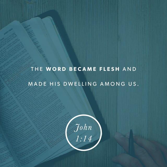 John 1:14 - And the Word became flesh and dwelt among us, and we have seen his glory, glory as of the only Son from the Father, full of grace and truth.