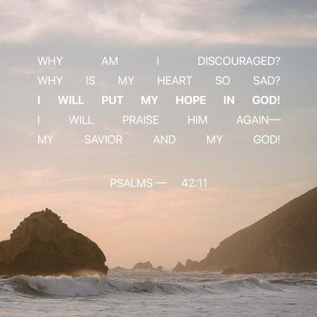 Psalms 42:11 - Why, my soul, are you downcast?
Why so disturbed within me?
Put your hope in God,
for I will yet praise him,
my Savior and my God.