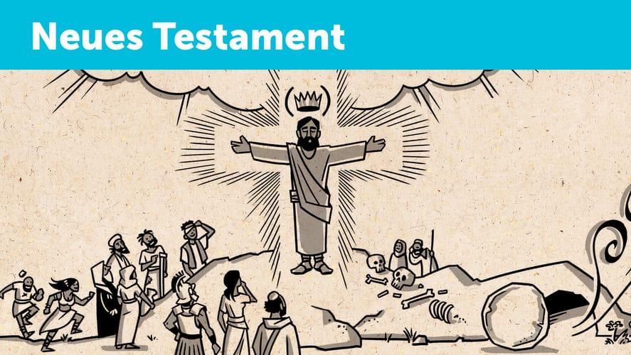 Buchübersichten – Neues Testament
