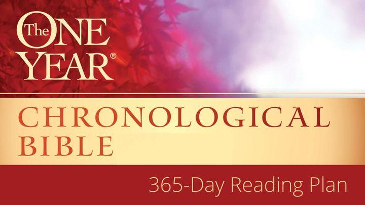 The One Year® Chronological Bible