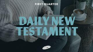 Daily New Testament - Quarter 1