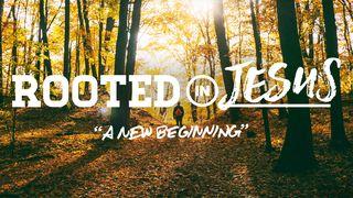 Rooted In Jesus: A New Beginning