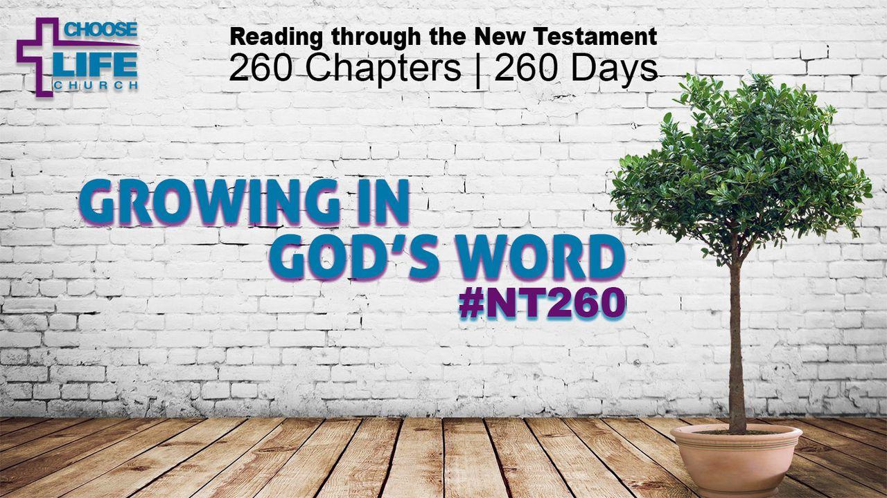 Growing In God’s Word #NT260