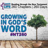 Growing In God’s Word #NT260