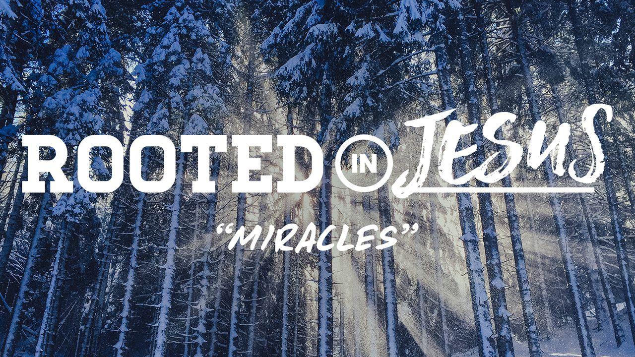 Rooted In Jesus: Miracles