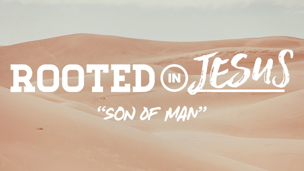 Rooted In Jesus: Son Of Man