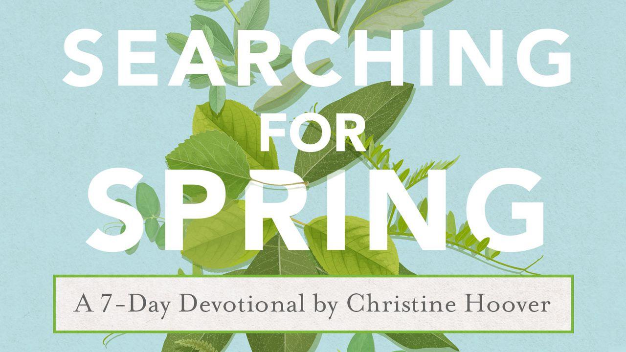 Searching For Spring By Christine Hoover