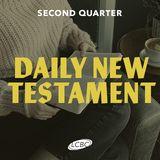 Daily New Testament - Quarter 2