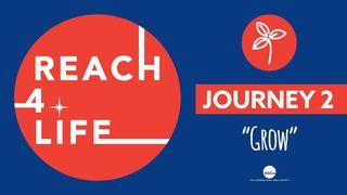 Reach4Life- Journey 2: Grow