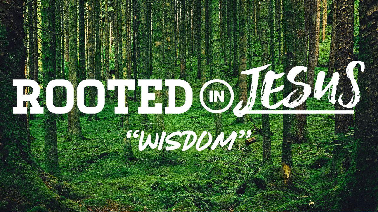 Rooted In Jesus: Wisdom
