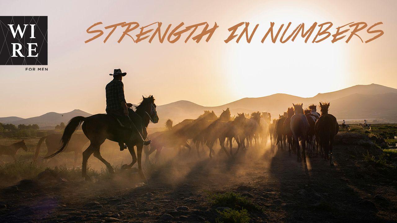 Strength In Numbers // Men Are Waiting For You