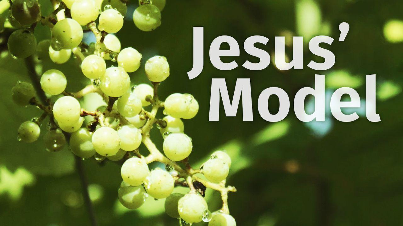 EncounterLife Jesus' Model