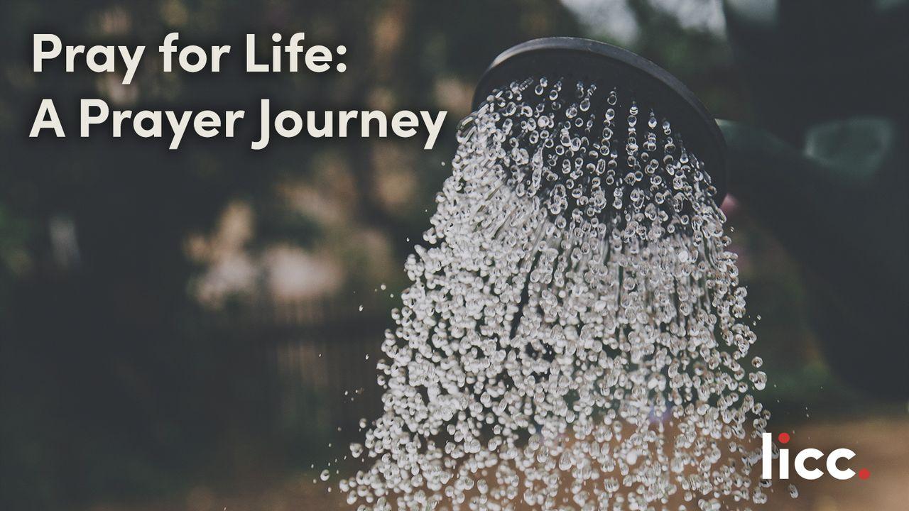 Pray For Life: A Prayer Journey