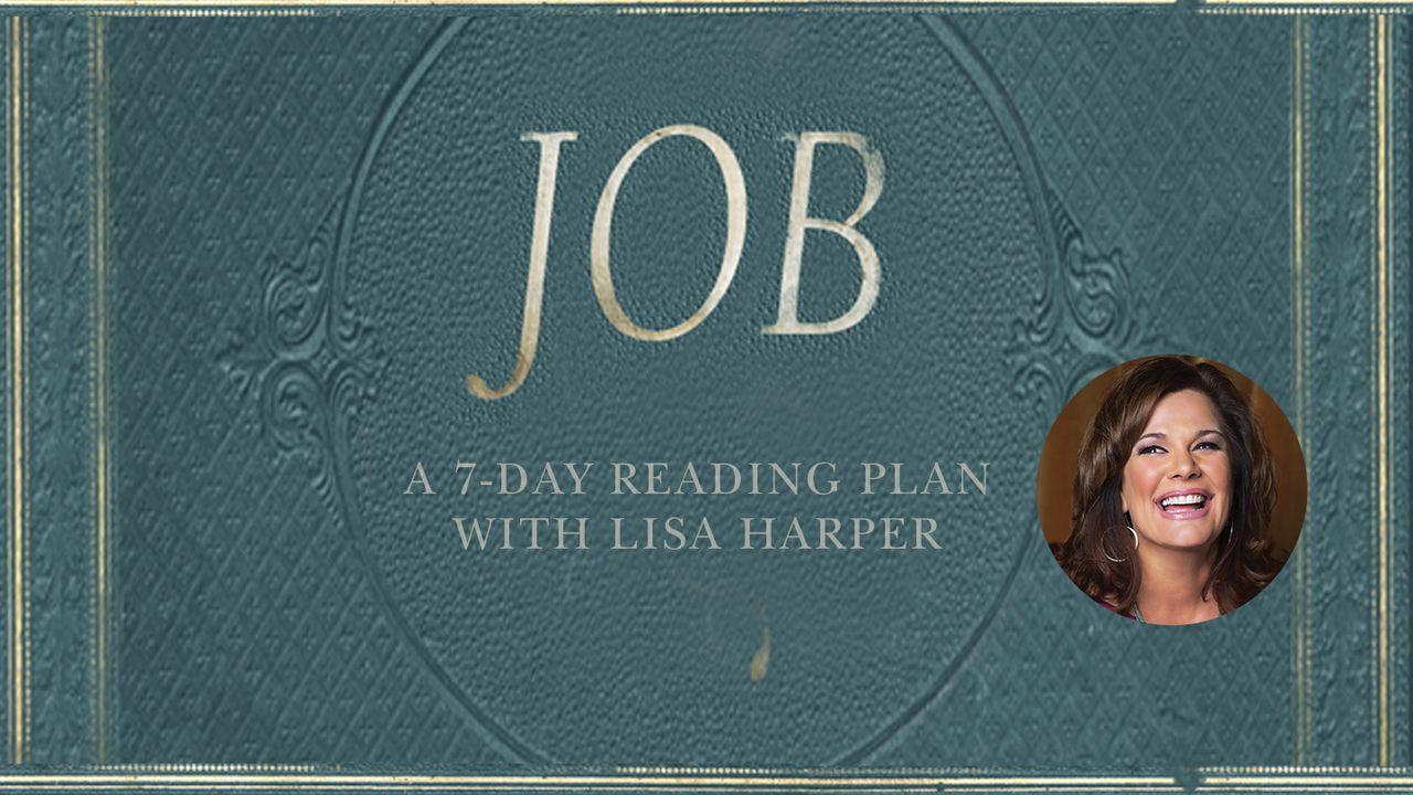 Job - A Story of Unlikely Joy