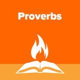 Proverbs Explained Part 6 | Wisdom Is as Wisdom Does