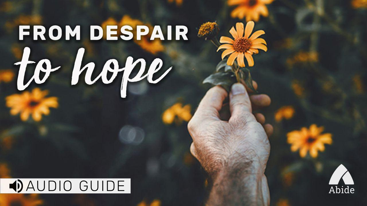 Despair To Hope