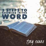 3 Steps To Growing In The Word