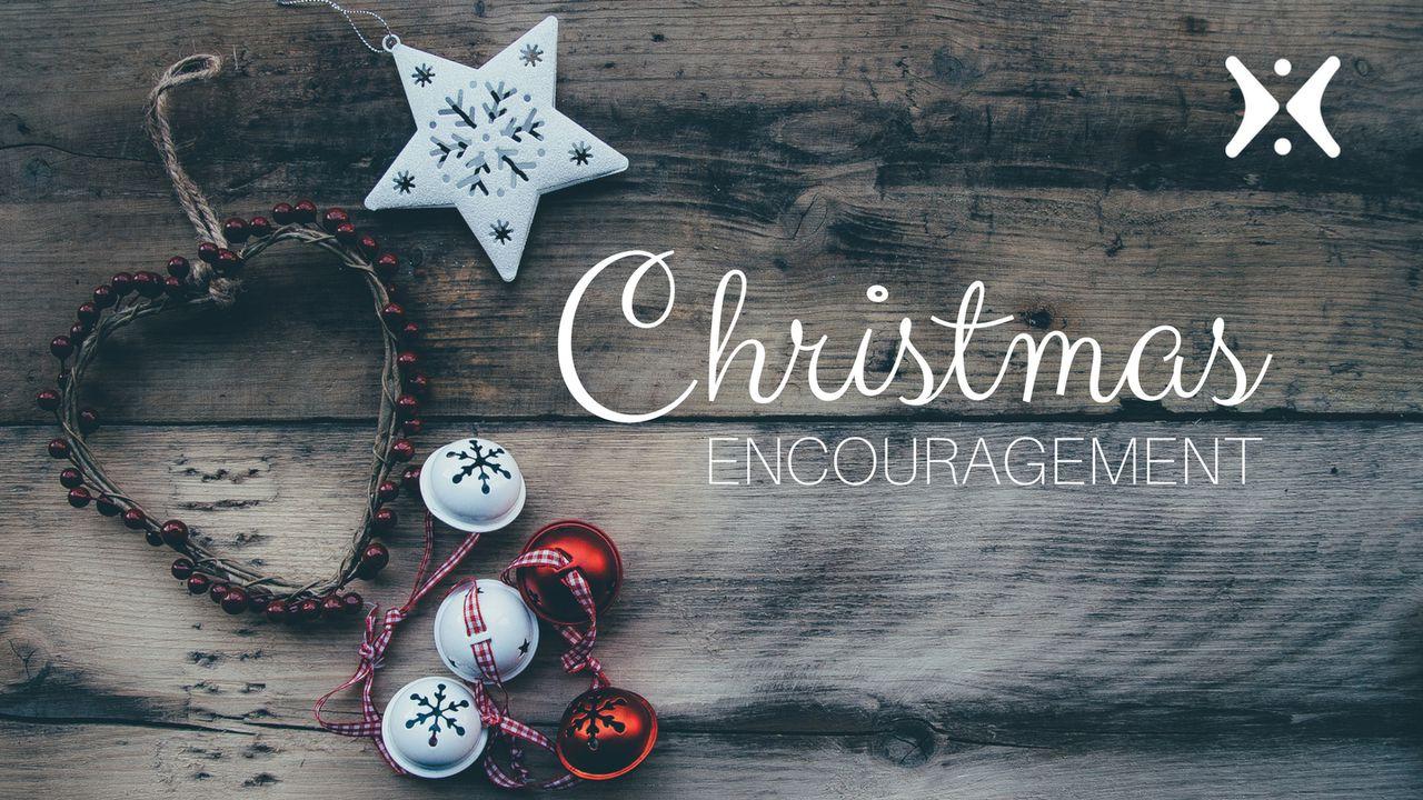 Christmas Encouragement By Greg Laurie