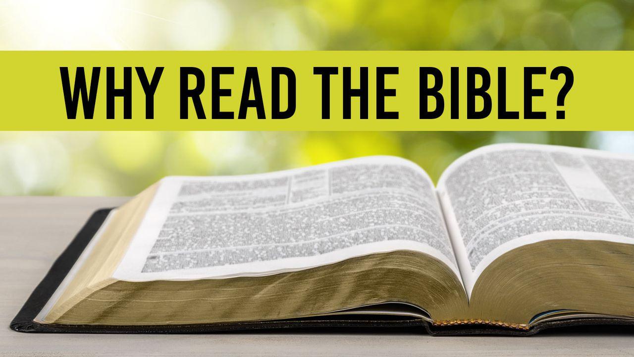 Why Read The Bible?