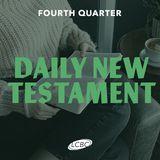 Daily New Testament - Quarter 4