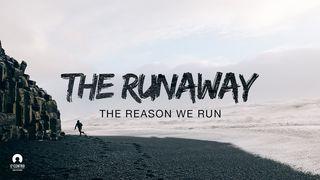 The Runaway – The Reason We Run