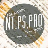 NT, PS, PRO In One Year