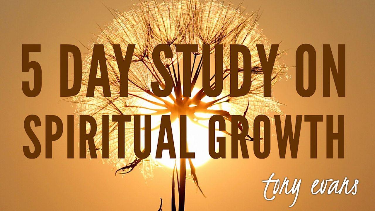 5 Day Study On Spiritual Growth