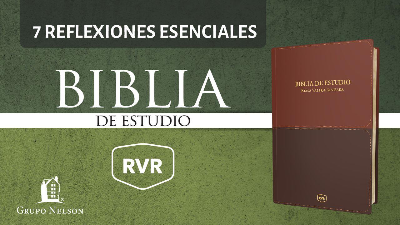 7 reflexiones esenciales de la Biblia de Estudio RVR