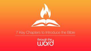 Bible Intro | 7 Key (videos by Through the Word)