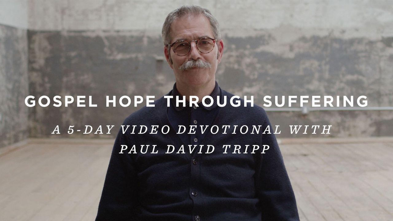 Gospel Hope Through Suffering: A 5-Day Video Devotional with Paul David Tripp