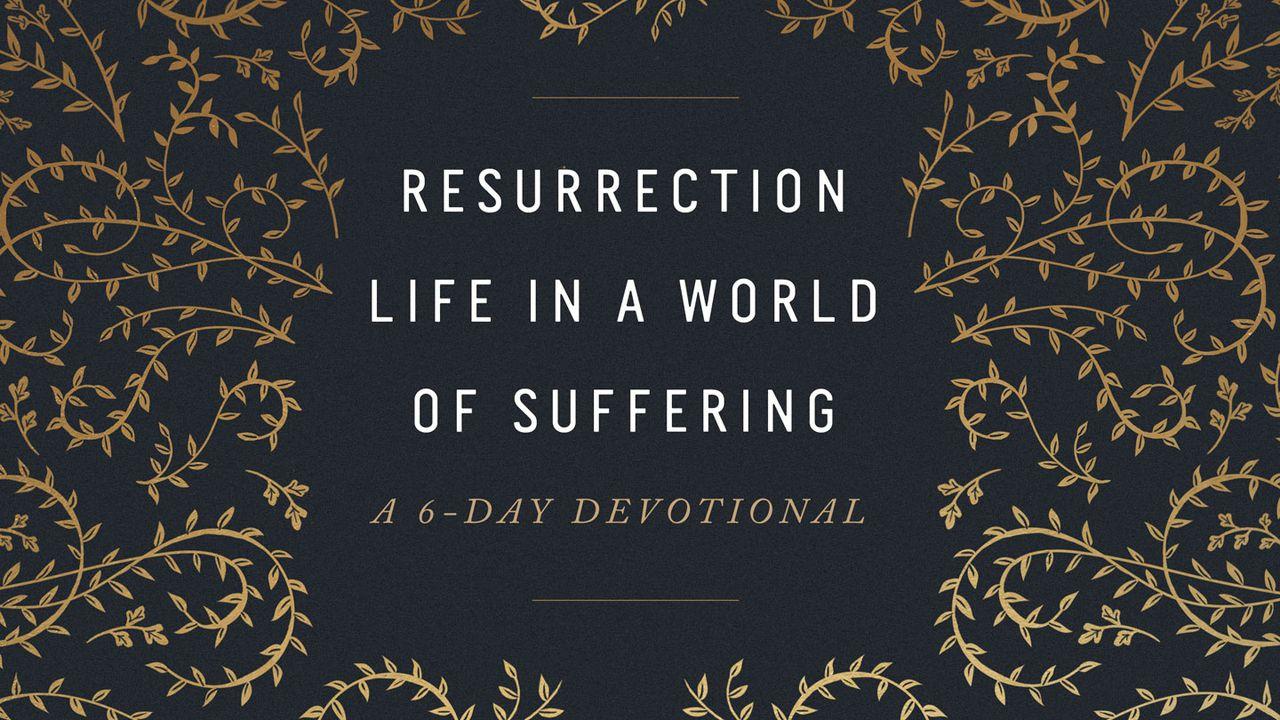 Resurrection Life In a World of Suffering: A 6-Day Devotional
