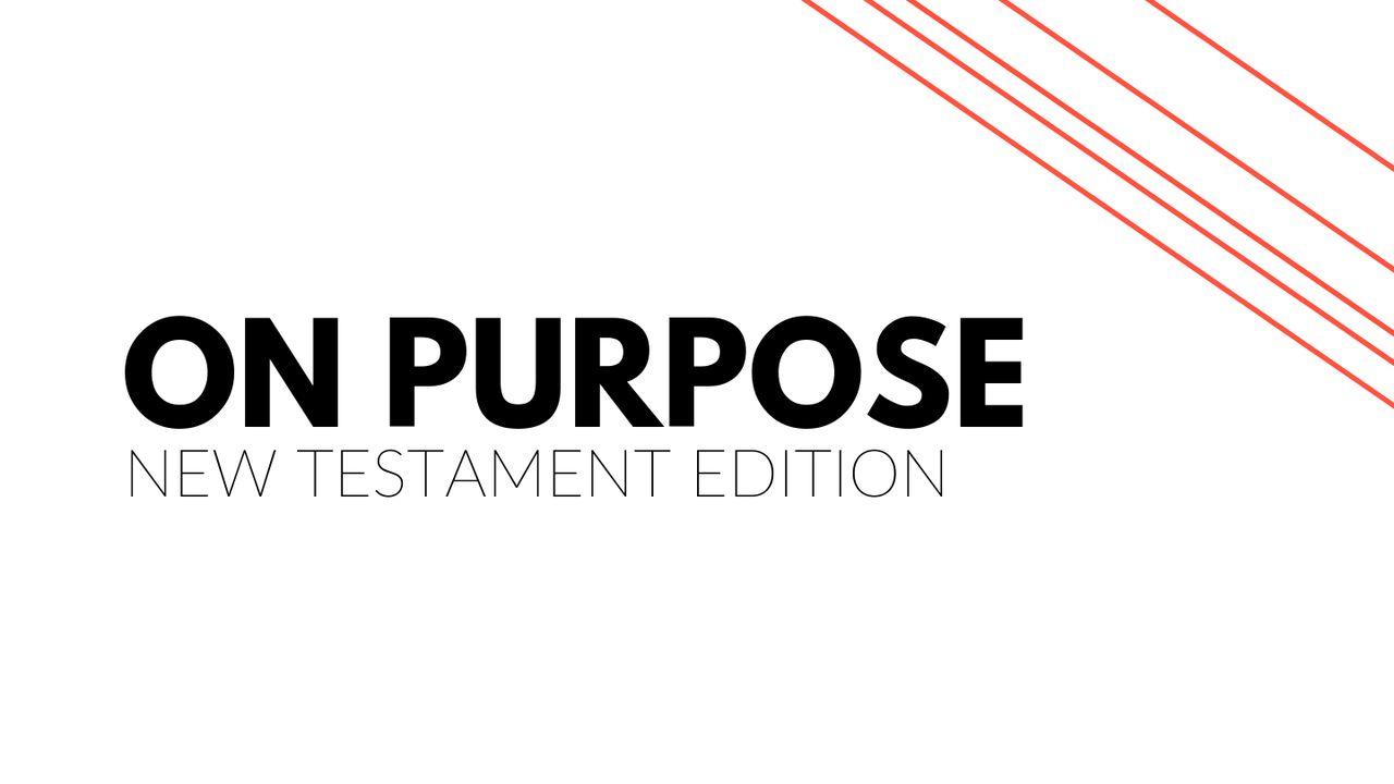 The New Testament On Purpose