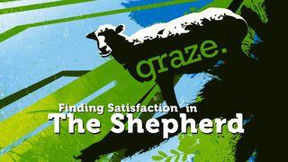 Graze: Finding Satisfaction in the Shepherd