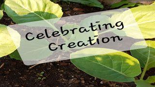 Celebrating Creation