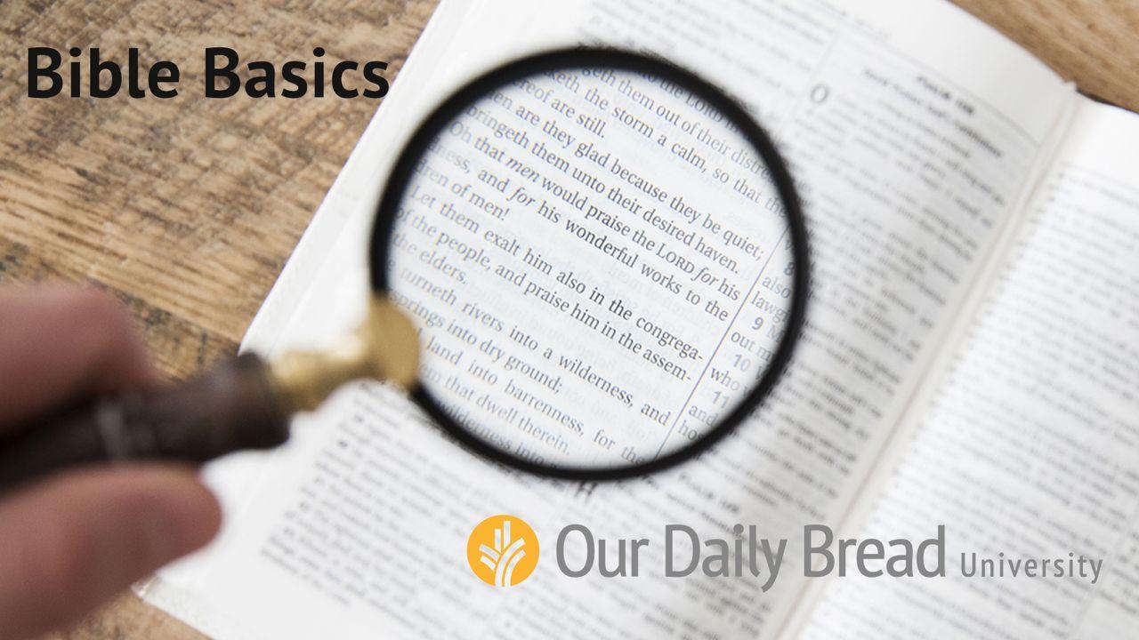 Our Daily Bread - Bible Basics